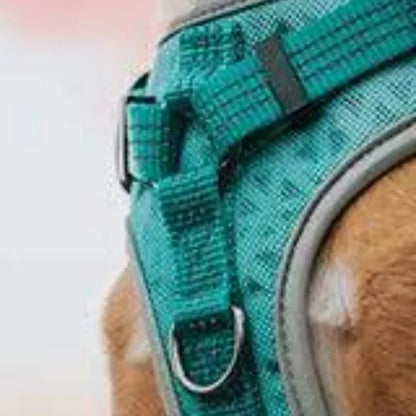 Embark Sports Dog harness - Blue. Perfect comfort for your dog